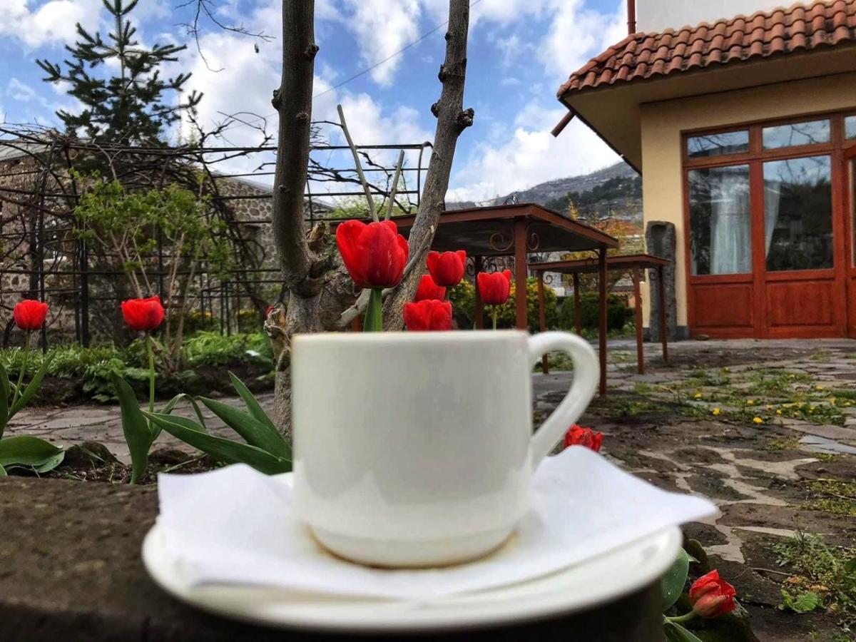 Hotel Mirhav 고리스 외부 사진